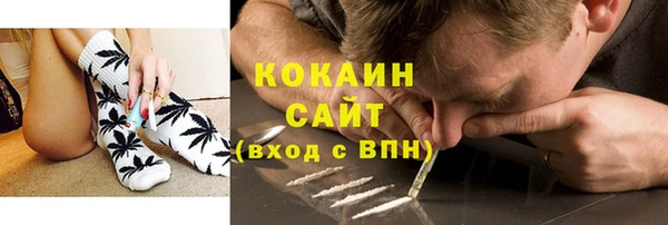 соль ск Богородицк