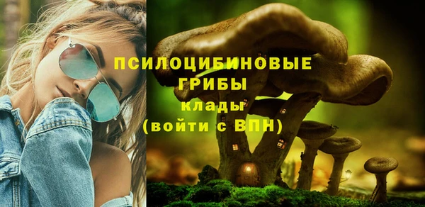 соль ск Богородицк